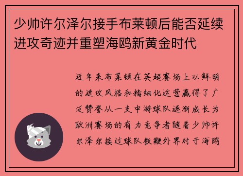 少帅许尔泽尔接手布莱顿后能否延续进攻奇迹并重塑海鸥新黄金时代 少帅许尔泽尔接手布莱顿后能否延续进攻奇迹并重塑海鸥新黄金时代