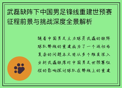 武磊缺阵下中国男足锋线重建世预赛征程前景与挑战深度全景解析